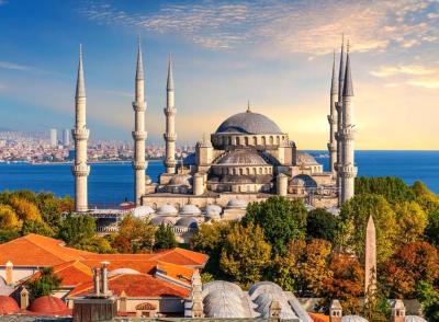 TOUR TO ISTANBUL - 1 DAY - night travel 0